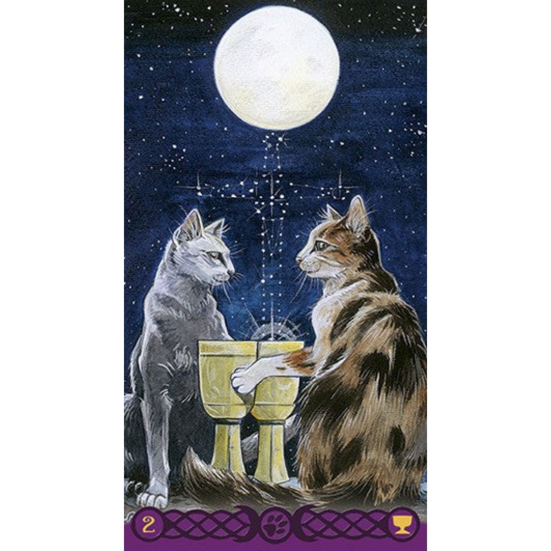 I tarocchi dei gatti pagani. Con 78 carte - 9788883959806 in
